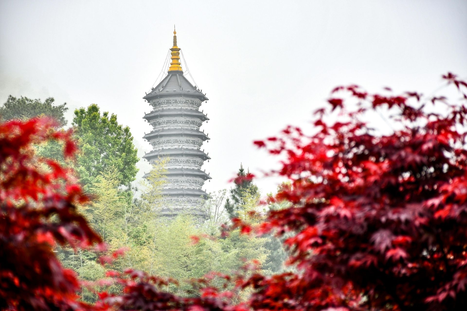 WFOE, Joint Venture or Partnership: Which Chinese Business Entity is Right for You?